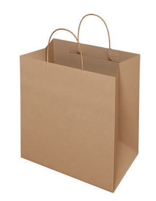 Brown Kraft Paper Take Away Bag - MEDIUM