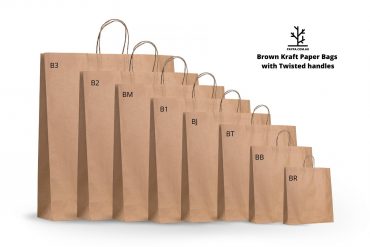 PAYPA - Brown paper bags with twisted handles